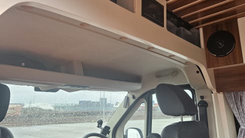 Jenny Wren – Mr DGB