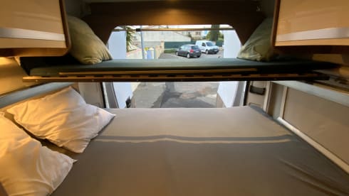 Dreamer D55 – Vermietung Träumer D55