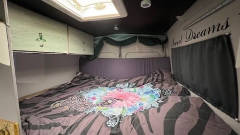 Missy 🚐💚 – Autobus Fiat 2p del 2005