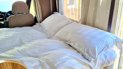 Flash – Chausson Flash 10 with electronic drop down bed