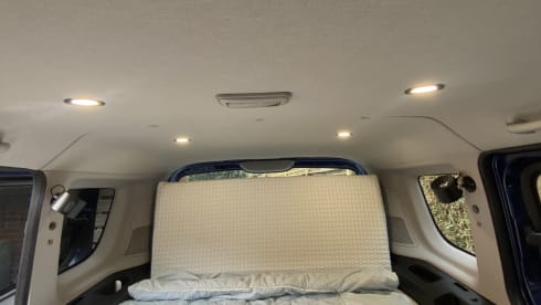 Daphne – Daphne the Doblo