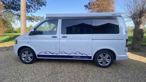 Hector – T5 VW (2012), White Pop-Top (SWB)