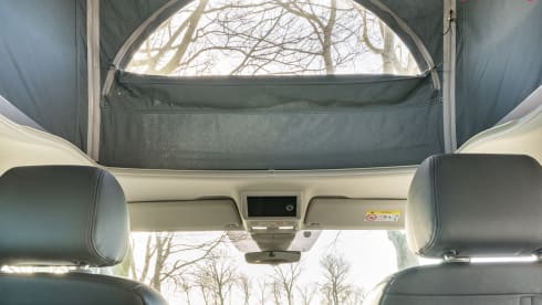 Luxury Volkswagen bus 6.1 California Ocean
