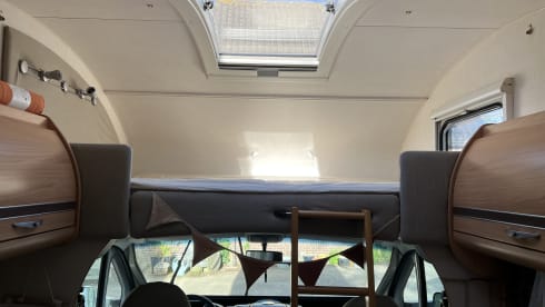 Billy  – Fiat Alcove 4 places à partir de 2026