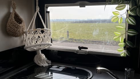 4p Chausson Titanium t628 from 2019