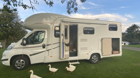 6 berth Fiat alcove from 2019