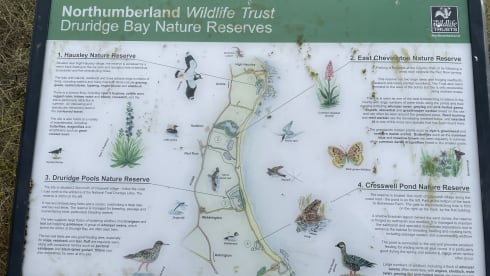 Lexi  – Winnebago rv