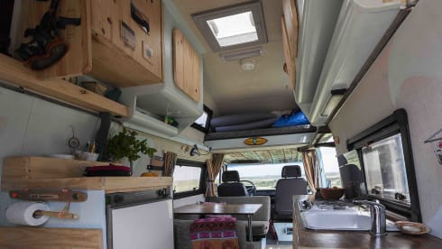 Miss Moneypenny (Burgau, Lagos, Algarve, Portugal)