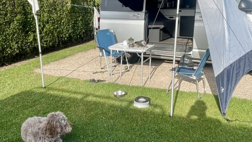 Flipje – 4p Volkswagen bus camper