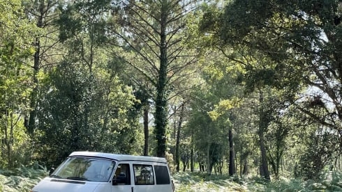 July – Cool fresh retro VW T4