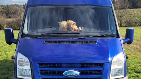 The Wee Cow  – 4 berth Ford Transit 