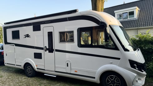 4p Laika integrated from 2024