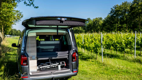 VW California 6.1 Ocean (2022) - 4 Persons - Automatic + Bicycle rack
