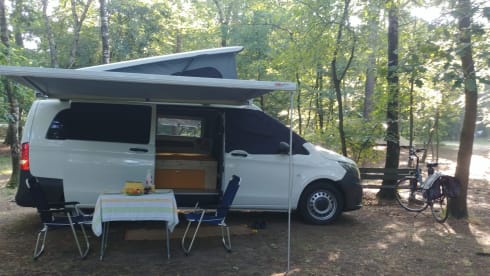 Zonnegeel – 3 person Mercedes-Benz bus from 2017