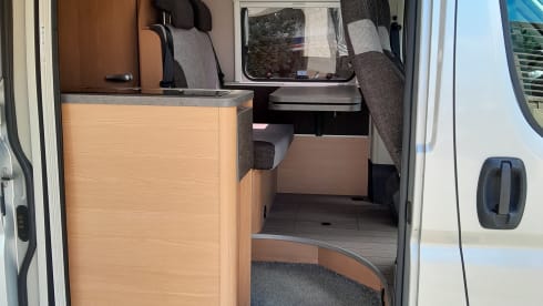 3p Fiat bus from 2020