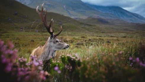 Freedom – Perfect sized, well equipped  2 berth motorhome