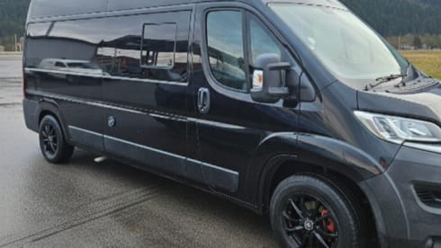 Jenny Wren – Mr DGB