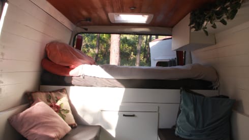 Kaat – Sporty Fiat Ducato