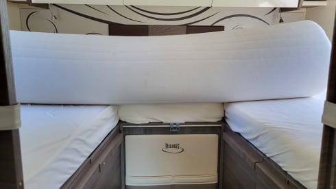 4p McLouis integrated uit 2020