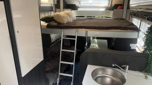 Jenny – 4p Roller Team semi-integrated from 2022