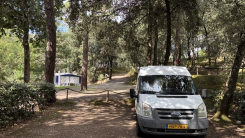 Bodhi – 2p Ford bus from 2009