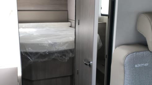 Stef – Magnificent discovery