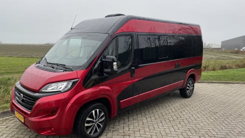 2p Peugeot bus uit 2016
