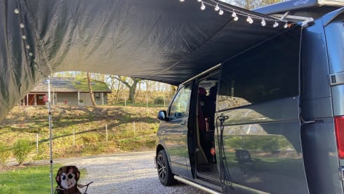 Bluey the Transporter Heeler – VW T6 Petrol Blue, 4-Berth