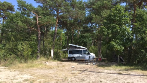 Sjaan – Auf Abenteuer mit dem komfortablen und umfangreichen Ford Nugget für 4 Personen!