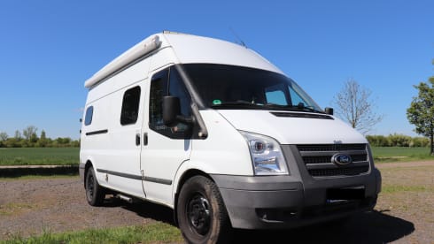 Transi – Ford Transit Campervan 