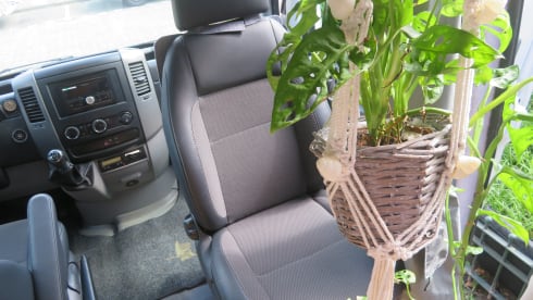 Django – 2p Volkswagen integrated from 2013