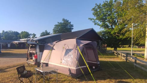 Friedl – T6 with quality installation