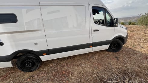 Connie2 – Just a lovely place to be.