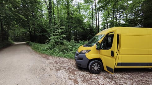 De Kanarie 🌞  – Gezellige gele camperbus (off-grid!) 