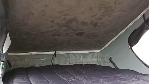 Oceana – 4 berth Volkswagen campervan 