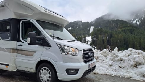 Luxury Ford Cocoon 463 - AUTOMATIC - Winter version - 2022