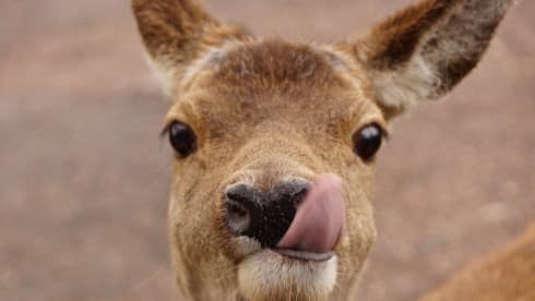 Freedom – Perfect sized, well equipped  2 berth motorhome