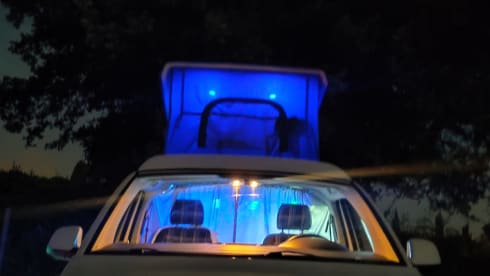 Luxury Van Transporter T5