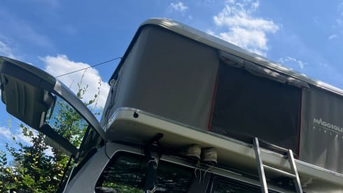 Co de BosCamper – Rooftop Tent Adventure: Subaru Forester x EGOE Nestbox Supertramp x Yuna Sheepie