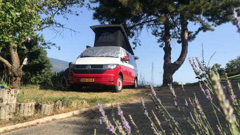 Goofy – 2p Volkswagen bus from 2020