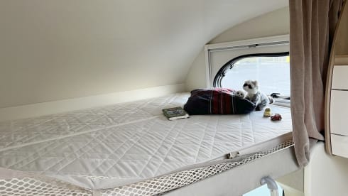 Giotti – Beautiful motorhome with alcove