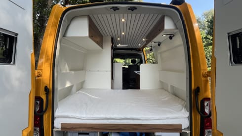 Bus Renault 4 places de 2020