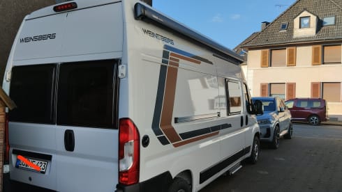 Weinsberg Carabus 600 DQ