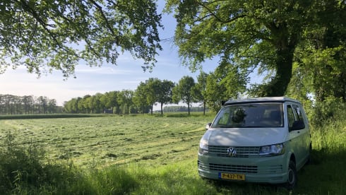 4p Volkswagen campervan from 2016