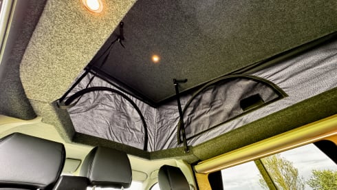 ZIGGY – 2018 Volkswagen Camper 