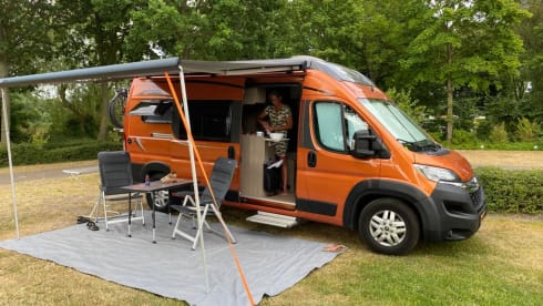  Pössl – 4er Pössl Bus von 2018