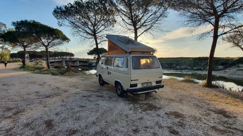 Nino – Van d'epoca: viaggio nel passato in Sardegna