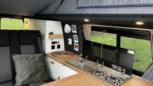 Woodpecker Groen – 4p Volkswagen campervan from 2019