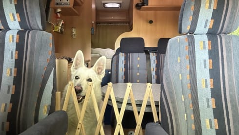 De Master – Stoere 3p Pössl bus