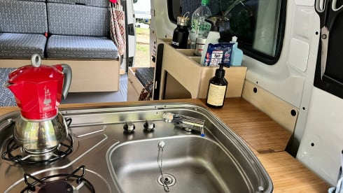 Ventje Avocado – Guy Avocado '24; 4p Volkswagen camper van from 2024